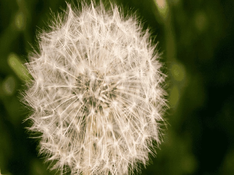 试管促排生气免疫影响试管胚胎香港龙凤胎试管费用